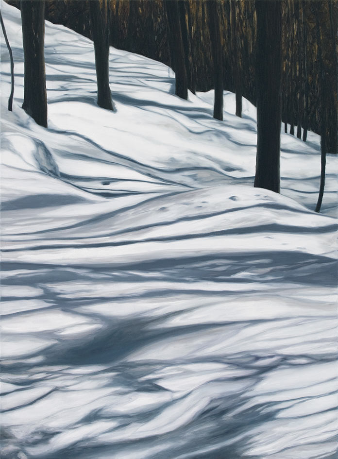 <p>n.t. 2012, 110 x 80 cm, oil on canvas</p>