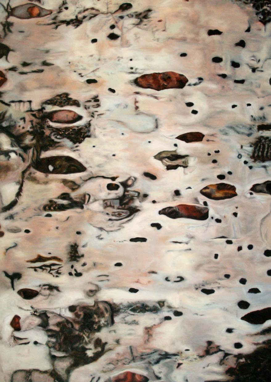 <p>untitled 2007, 170 x 120 cm, oil on canvas</p>