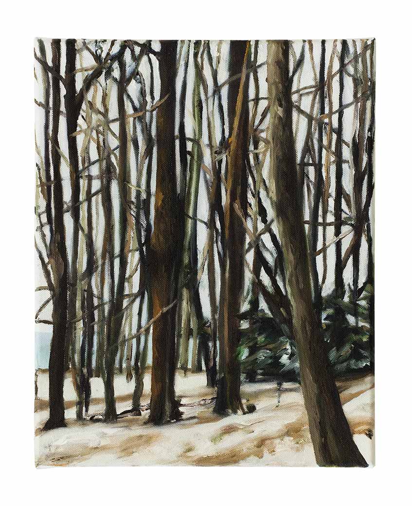 <p>s.t. 2013, 30 x 24 cm, oil on canvas</p>