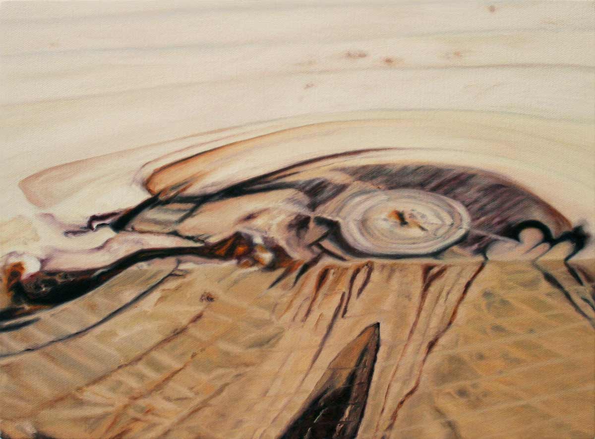 <p>untitled 2007, 33 x 43 cm, oil on canvas</p>