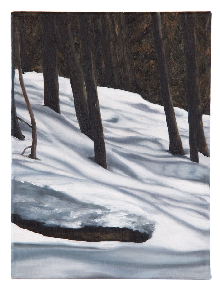 <p>n.t. 2012, 24 x 18 cm, oil on canvas</p>