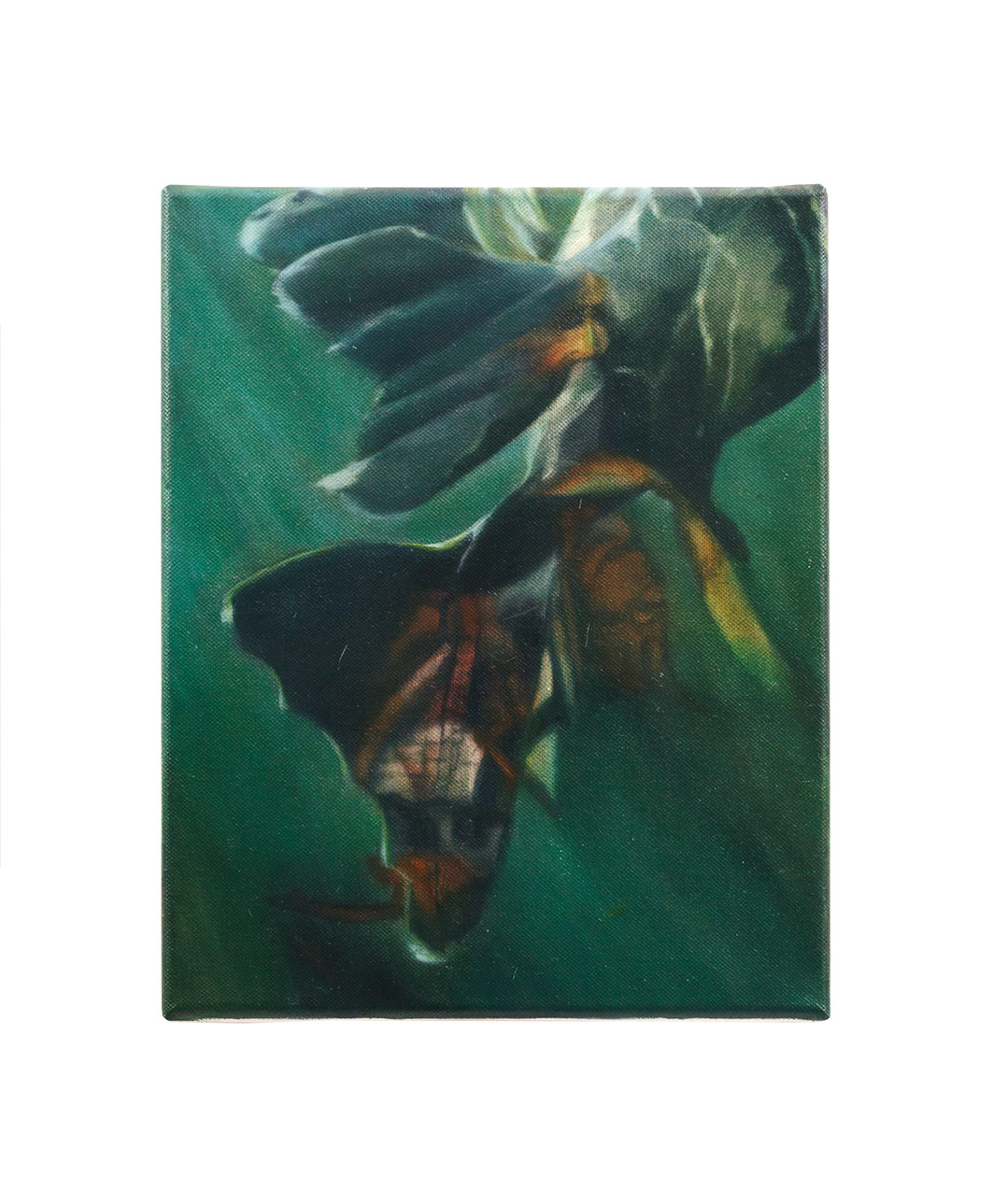 <p>untitled 2017, 30 x 24 cm, oil on canvas</p>