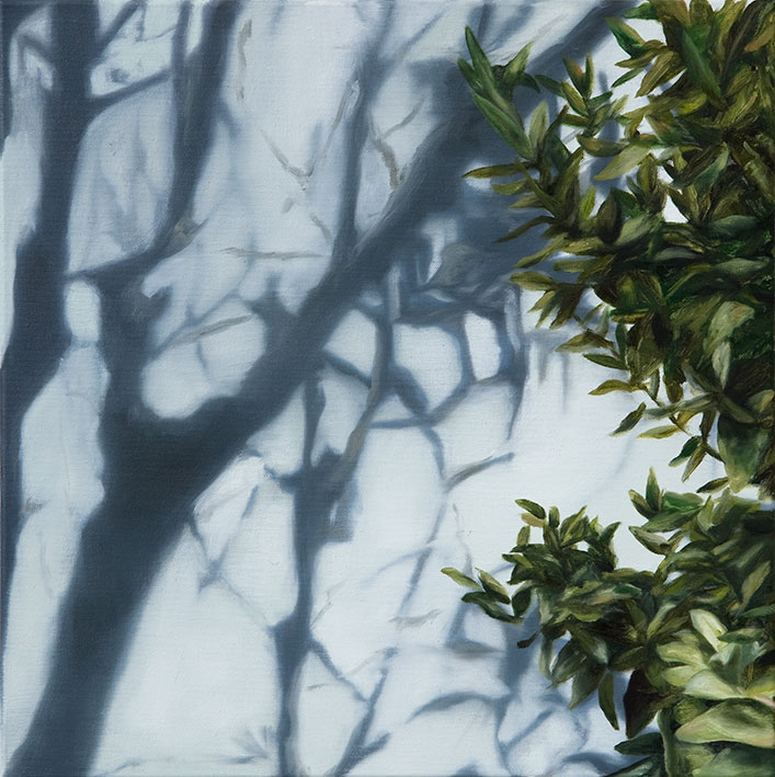 <p>n.t. 2012, 50 x 50 cm, oil on canvas</p>