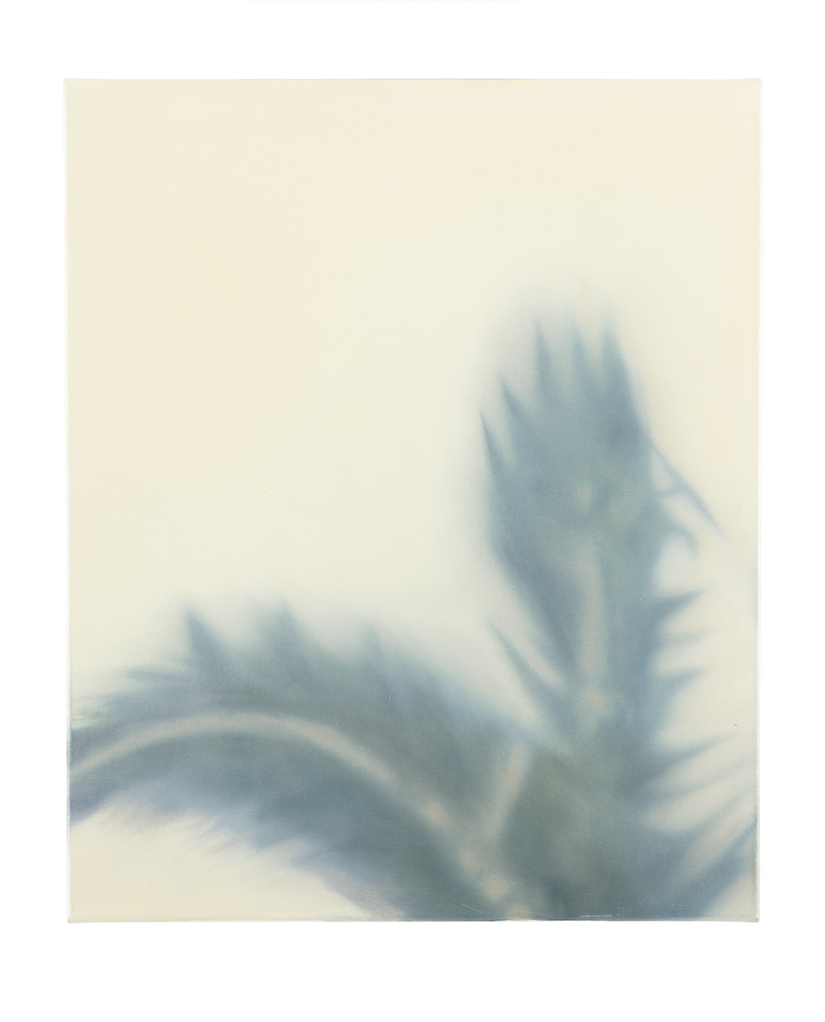 <p>untitled (palm 19) 2017, 60 x 50 cm, oil on canvas</p>