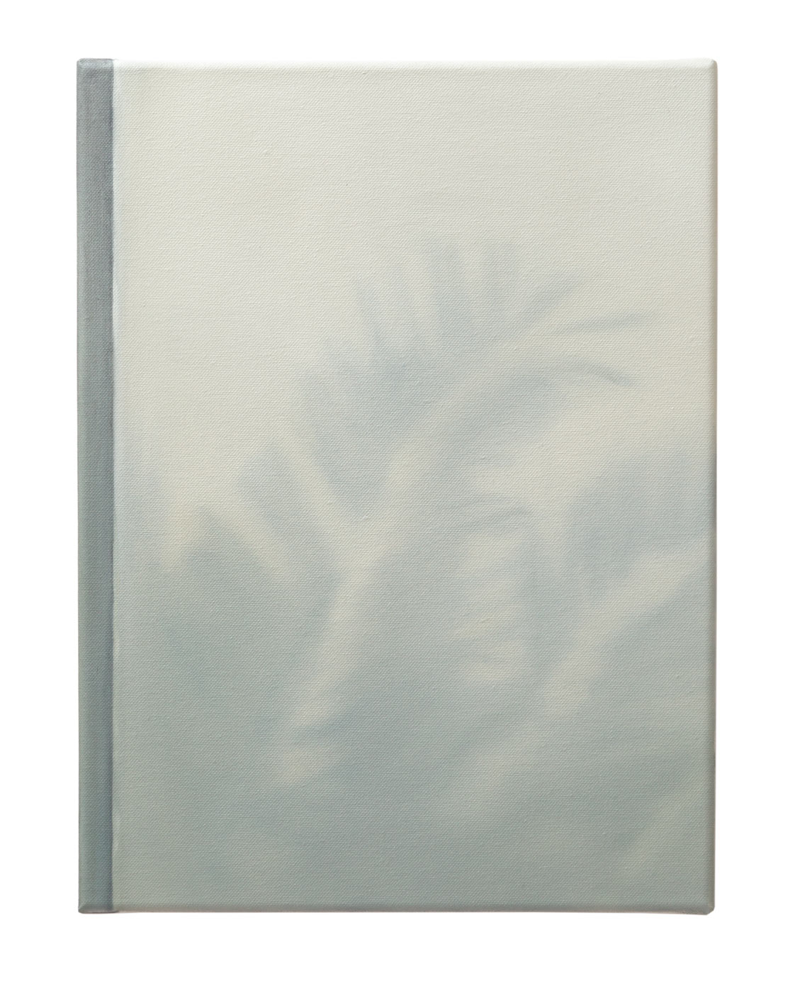<p>untitled (palm 11) 2016, 40 x 30 cm, oil on canvas</p>