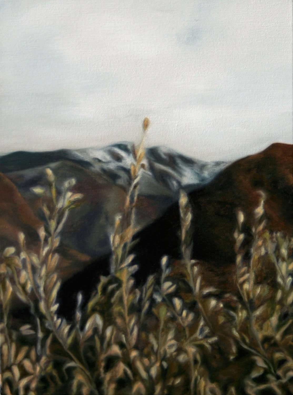 <p>untitled 2008, 45 x 33 cm, oil on canvas</p>