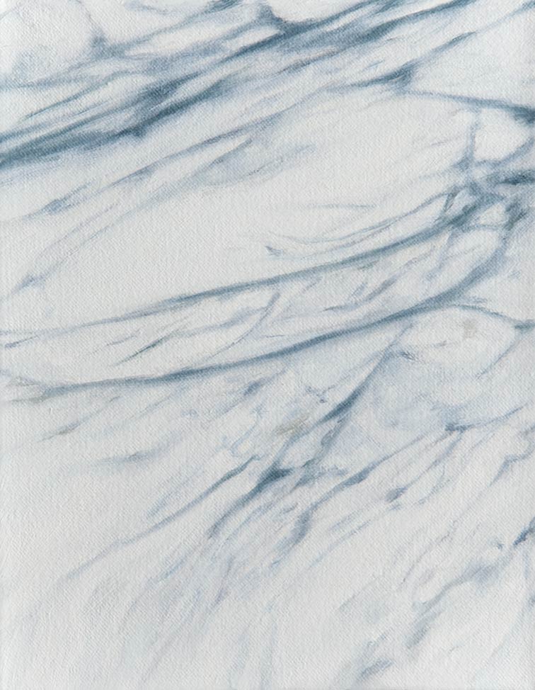 <p>n.t. 2012, 30 x 24 cm, oil on canvas</p>
<p> </p>